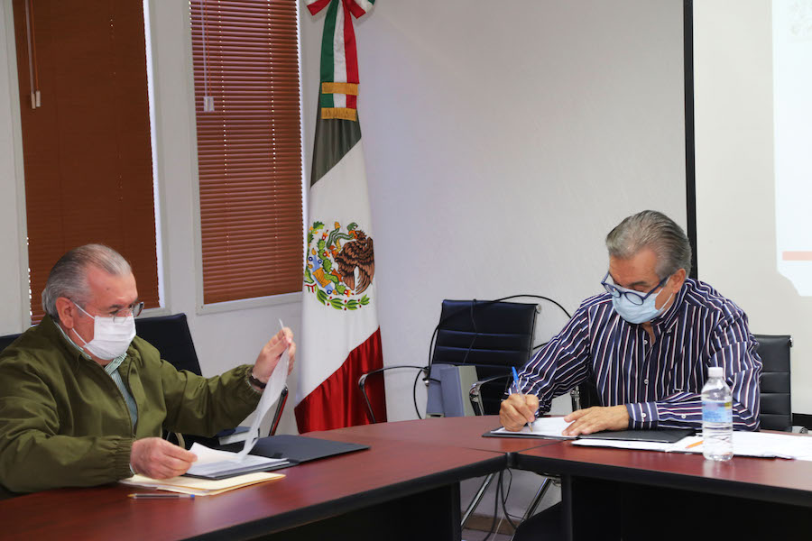Promueve Secretaría de Economía conservación de especies de agave para producción de Bacanora