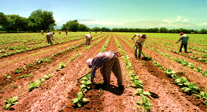 Los productores rurales deben romper  esquemas ideológicos