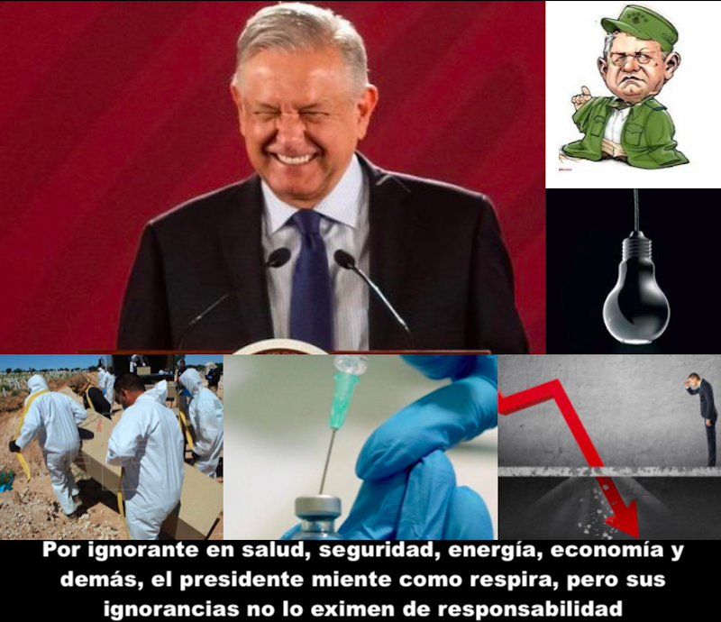 Mentiroso y/o ignorante Mentiroso y/o ignorante