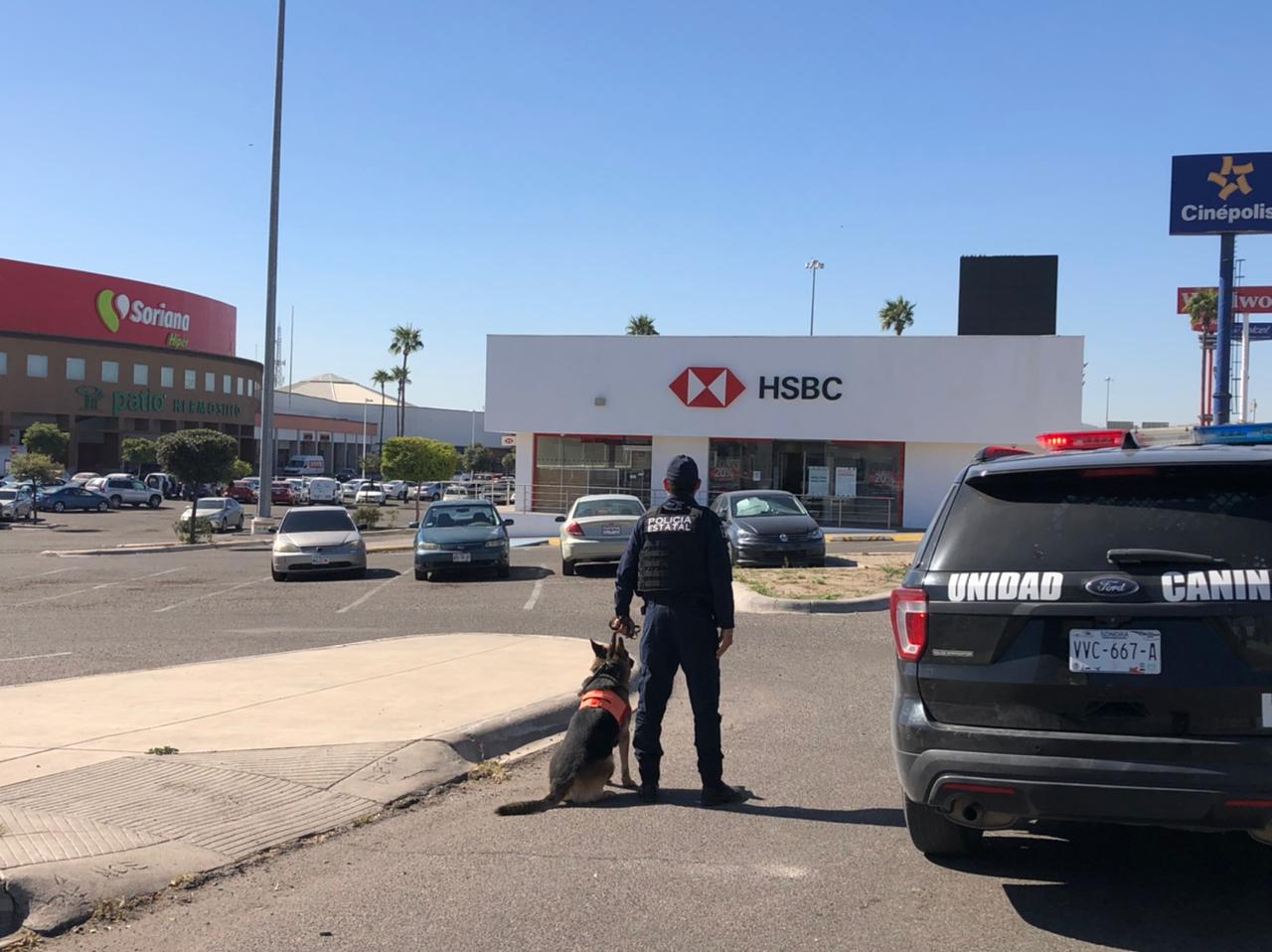Participan en operativos de vigilancia unidad canina K-9 de la PESP en Sonora