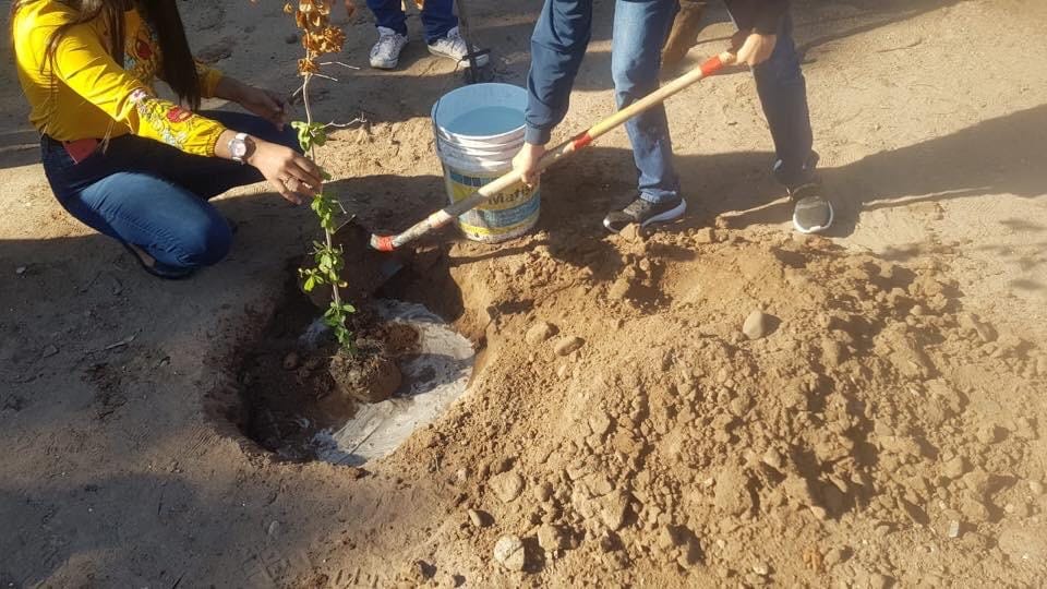 Participará Cobach en Programa internacional “Escuelas por la Tierra 2021”