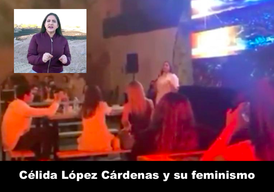 Simplismo feministoide