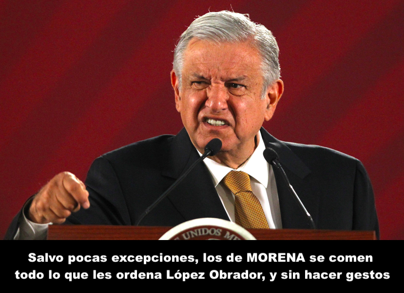 Coprofagia en MORENA Coprofagia en MORENA
