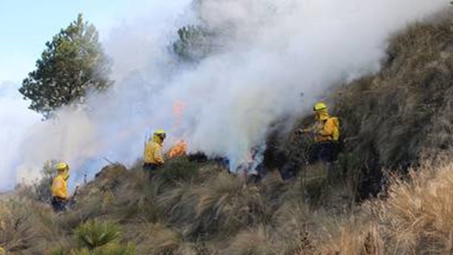 Bajo control los incendios forestales: CEPC