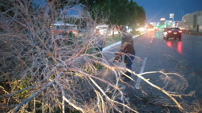 Atiende Gobierno de Hermosillo reportes de daños por lluvias