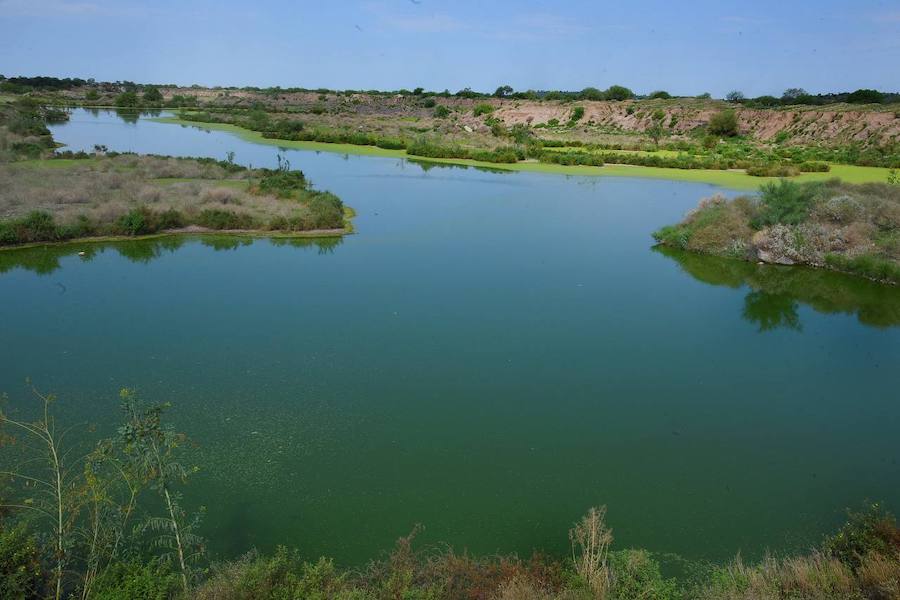 Busca Gobierno de Hermosillo que Ecoparque sea declarado Área Natural Protegida