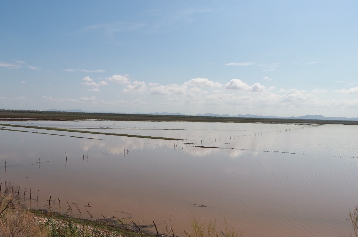 Conagua determina reducción de municipios con sequía en Sonora