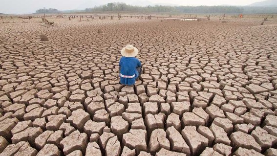 No hay emergencia climática