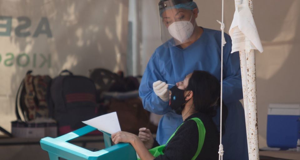 La gripe aviar inofensiva para humanos ¿Cómo el Covid 19? La gripe aviar inofensiva para humanos ¿Cómo el Covid 19?