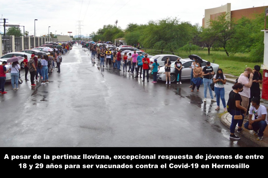 La marca de lo absurdo La marca de lo absurdo