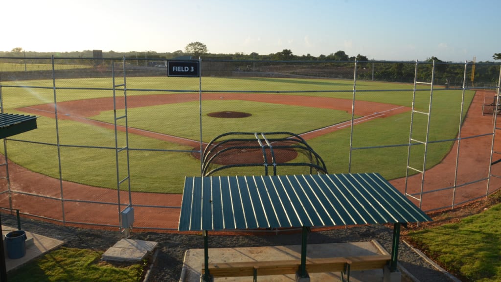 Suena muy bien la academia de beisbol ¡Gran oportunidad si llegan los mejores!