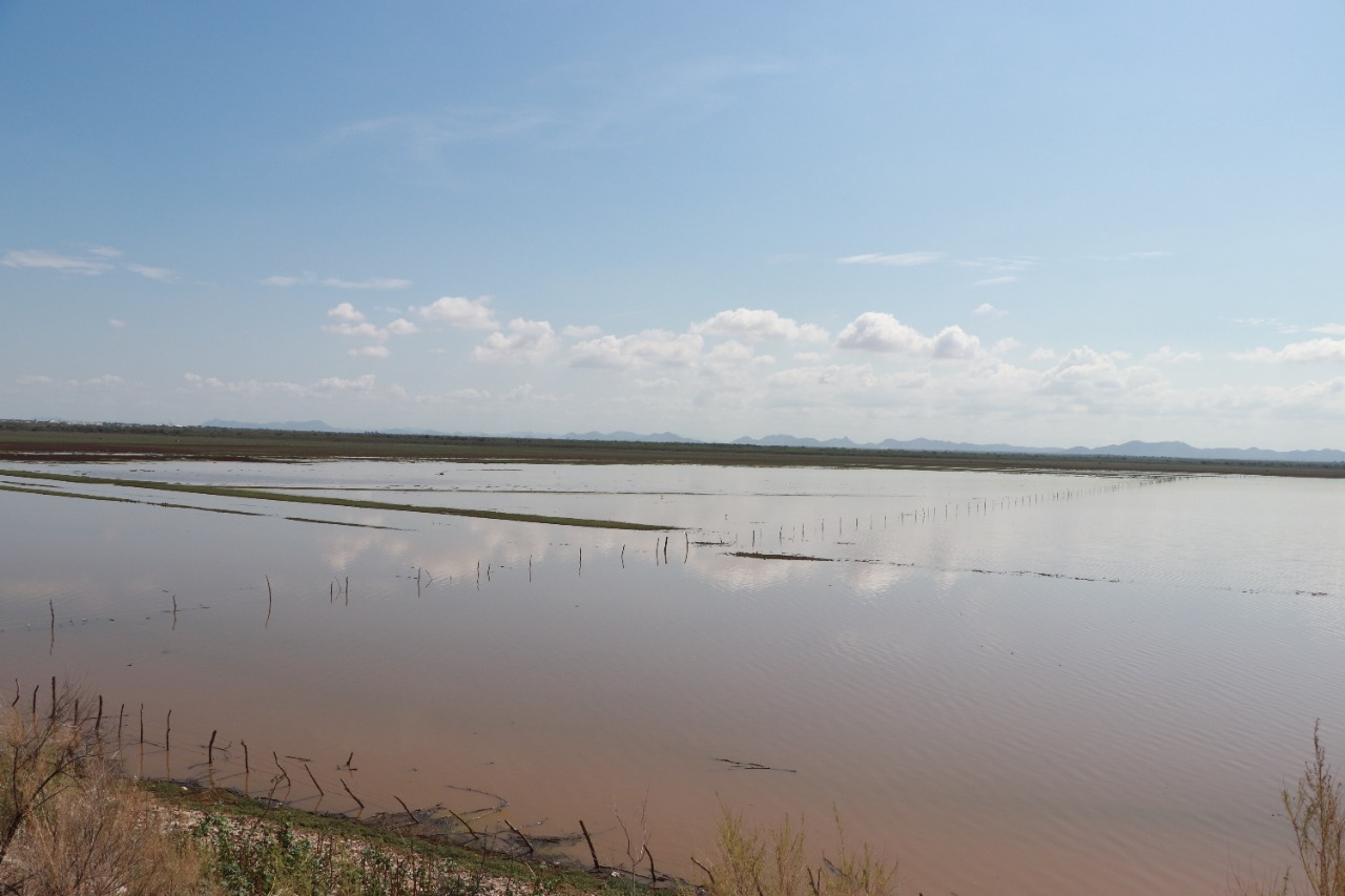 Asegura Conagua que en Sonora se superó el período de sequía