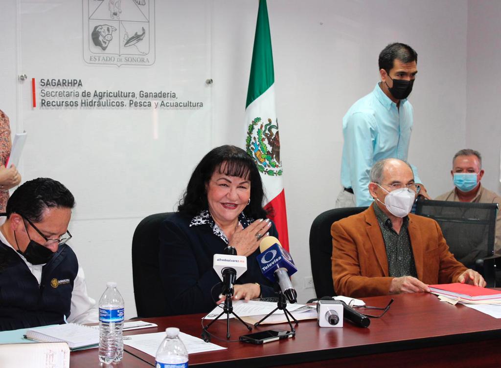 Positivo el programa de estimulación de lluvias: Secretaría de Agricultura