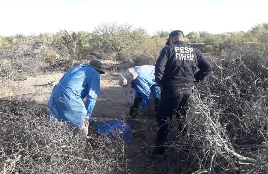 FGJE y Madres Buscadoras de Sonora encuentran 14 fosas en el Poblado Miguel Alemán