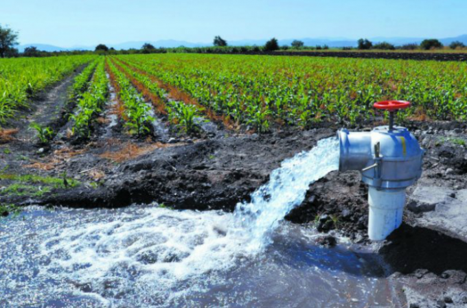 ¿Por qué quieren destruir el Valle del Yaqui?