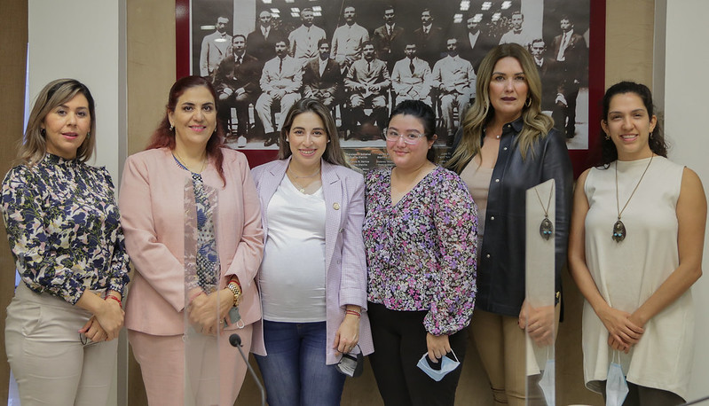 Analizan en Comisión asuntos turnados