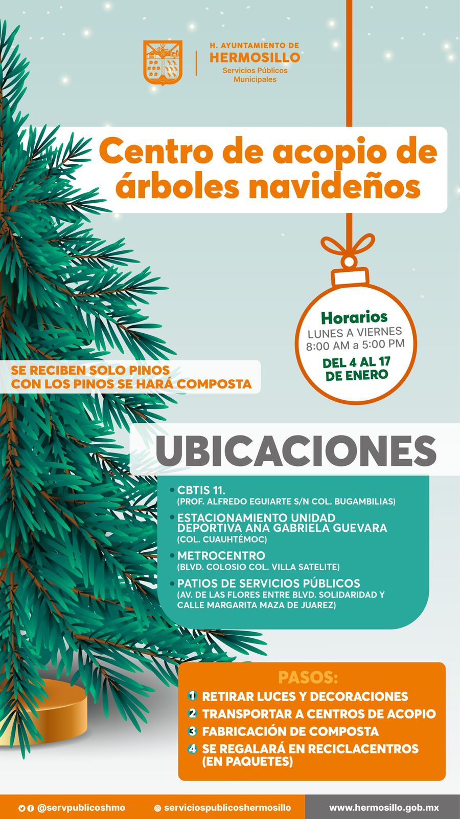 Instalarán centros de acopio de árboles navideños