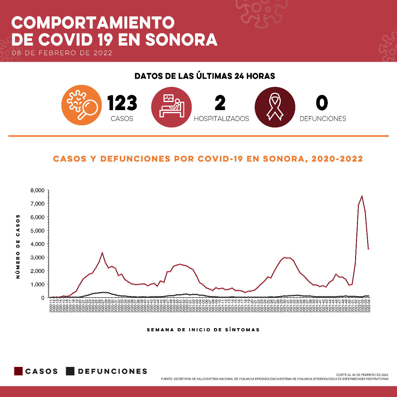 Confirma Secretaría de Salud 123 casos y cero defunciones por Covid-19