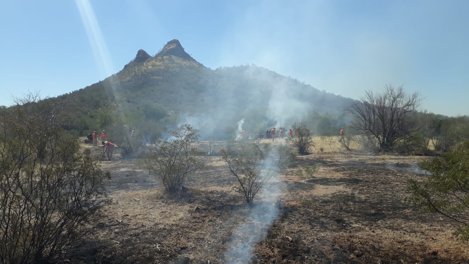 Controlan incendio forestal en un 35% a pesar del viento en la zona