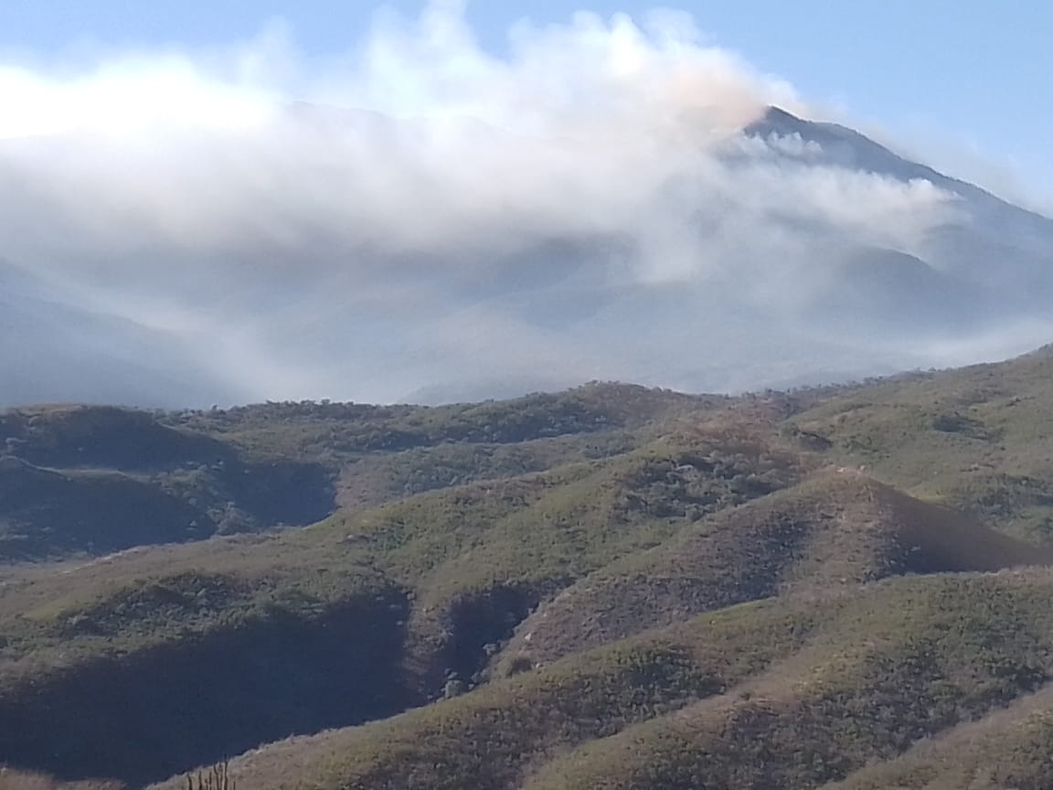 Incrementa personal para combatir incendio forestal en la sierra alta de Aconchi