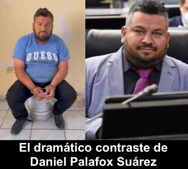 Narcopolítica Narcopolítica