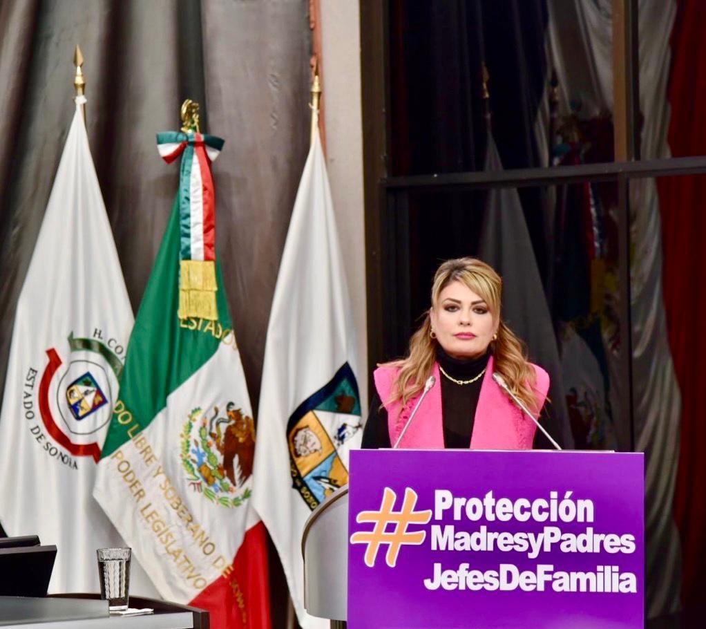 Buscarán proteger a hijas e hijos de madres y padres jefes de familia Buscarán proteger a hijas e hijos de madres y padres jefes de familia