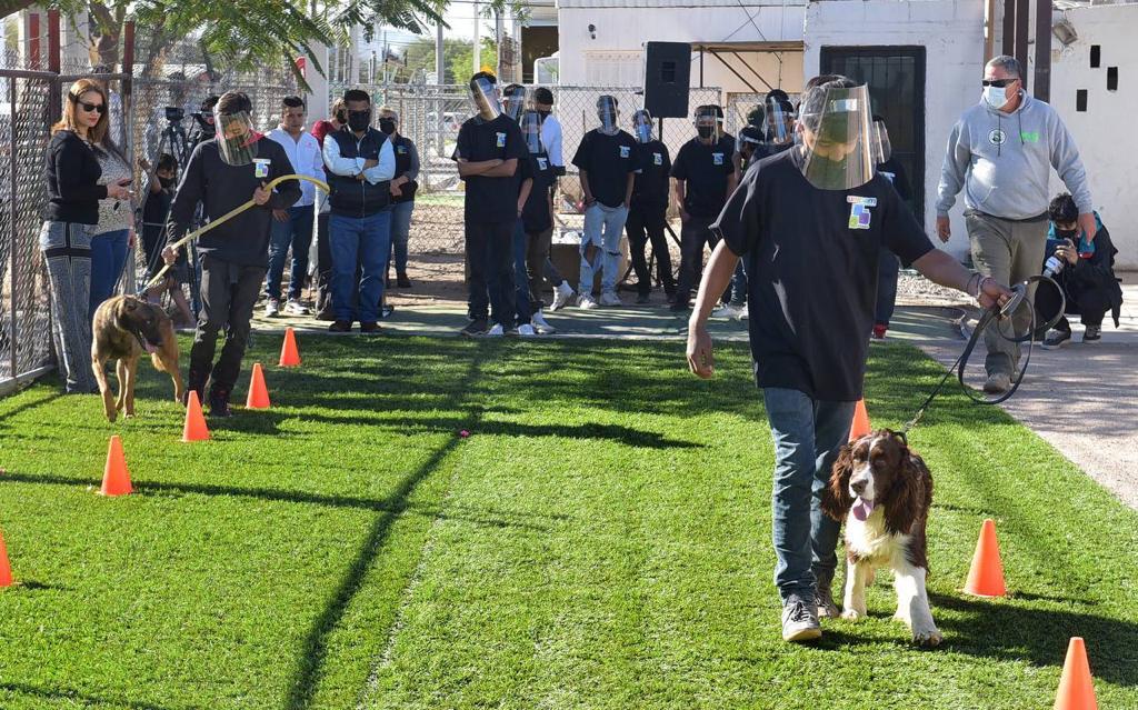 Realizarán UMPAM y Pata de Perro Semana de la Empatía Perruna
