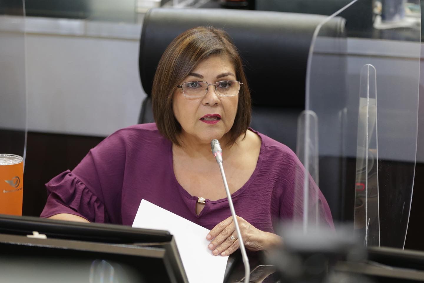 Rechazan incluir a María Jesús Guirado Ibarra, primera Diputada Electa en Sonora 