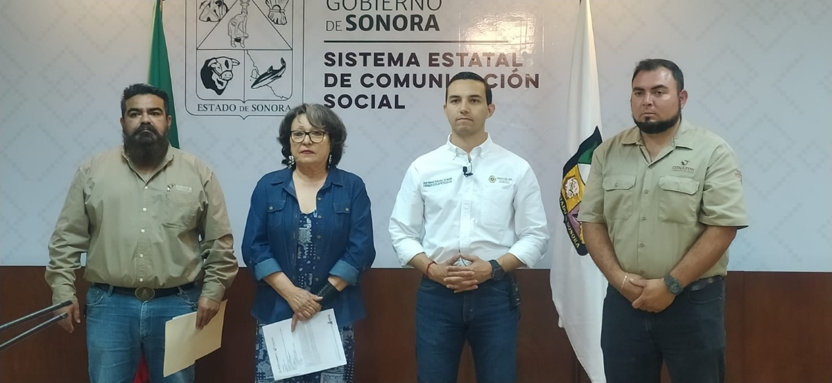 Avanza de forma efectiva combate a incendio forestal en Álamos