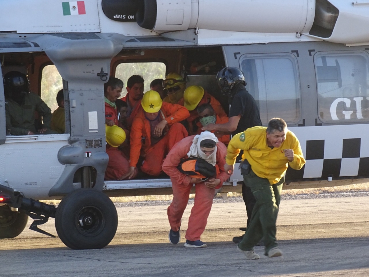 Logran brigadistas 85% de control en incendio forestal en Álamos