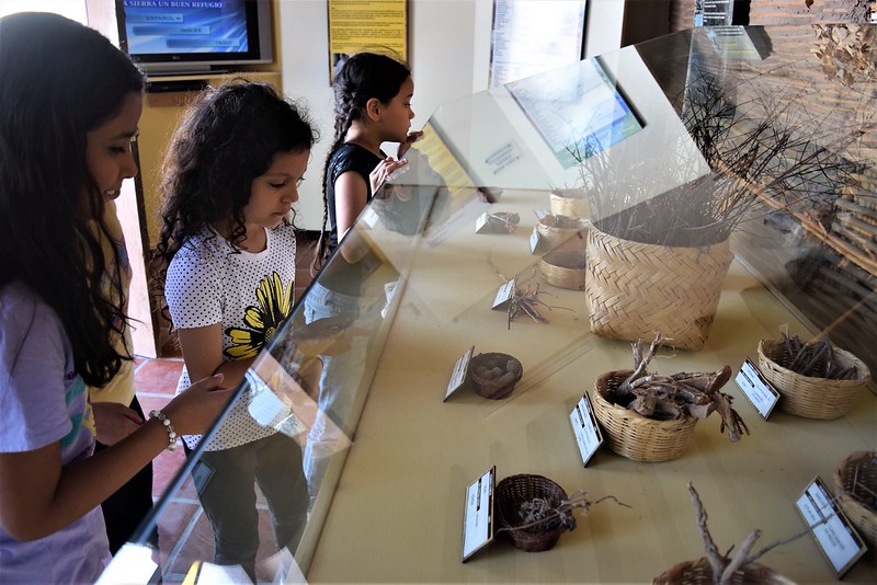 Celebrará ISC el poder de los museos