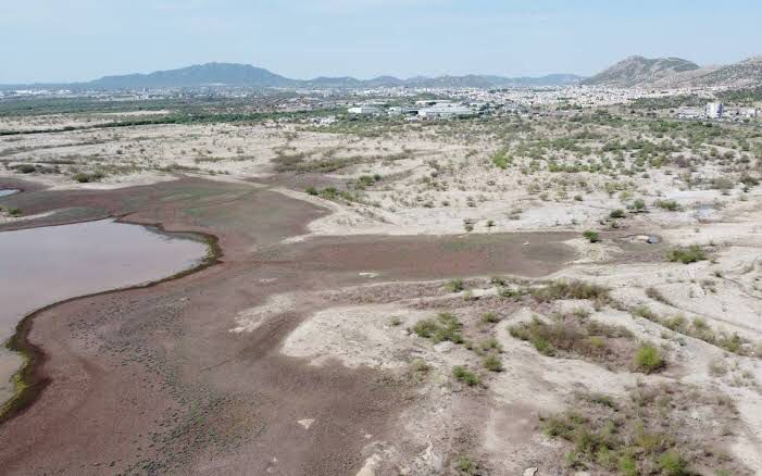 Sigue bajando el almacenaje de agua en presas de Sonora: Conagua 