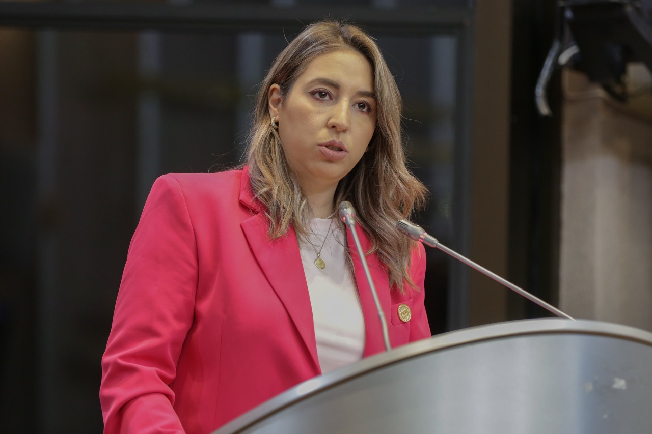 Propone GPPRI establecer la figura del «Amicus Curiae» o amigos de la corte Propone GPPRI establecer la figura del «Amicus Curiae» o amigos de la corte