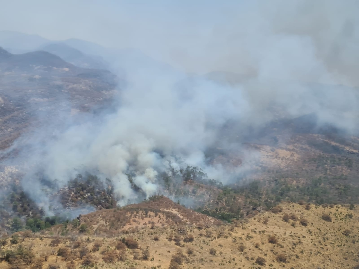 Incendio forestal en Sahuaripa podría superar en poco tiempo al de Álamos