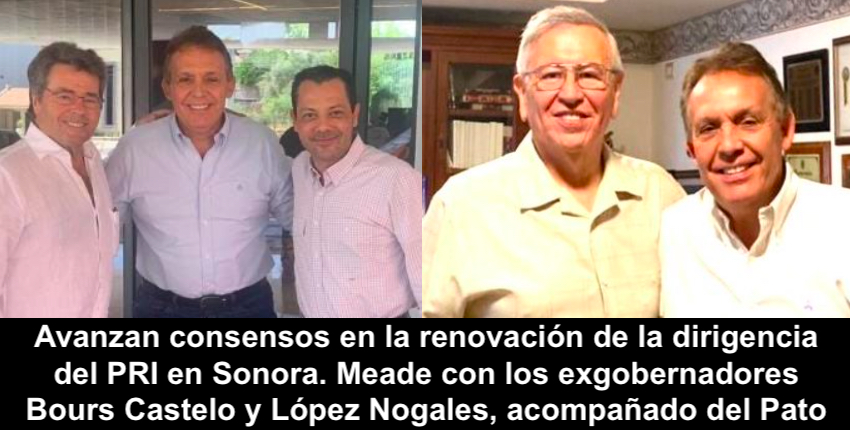Consensos