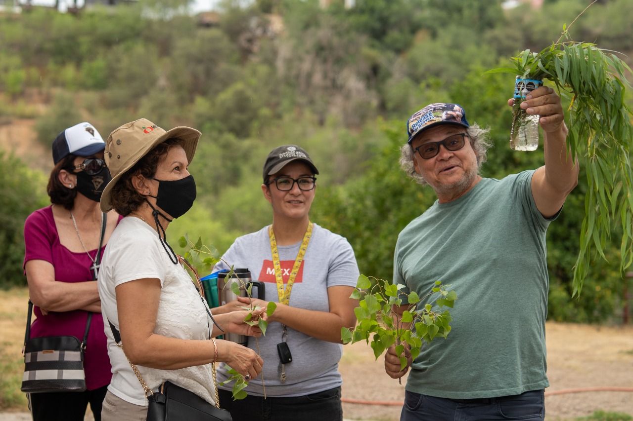 Promueve Creson acciones para la restauración del ecosistema regional