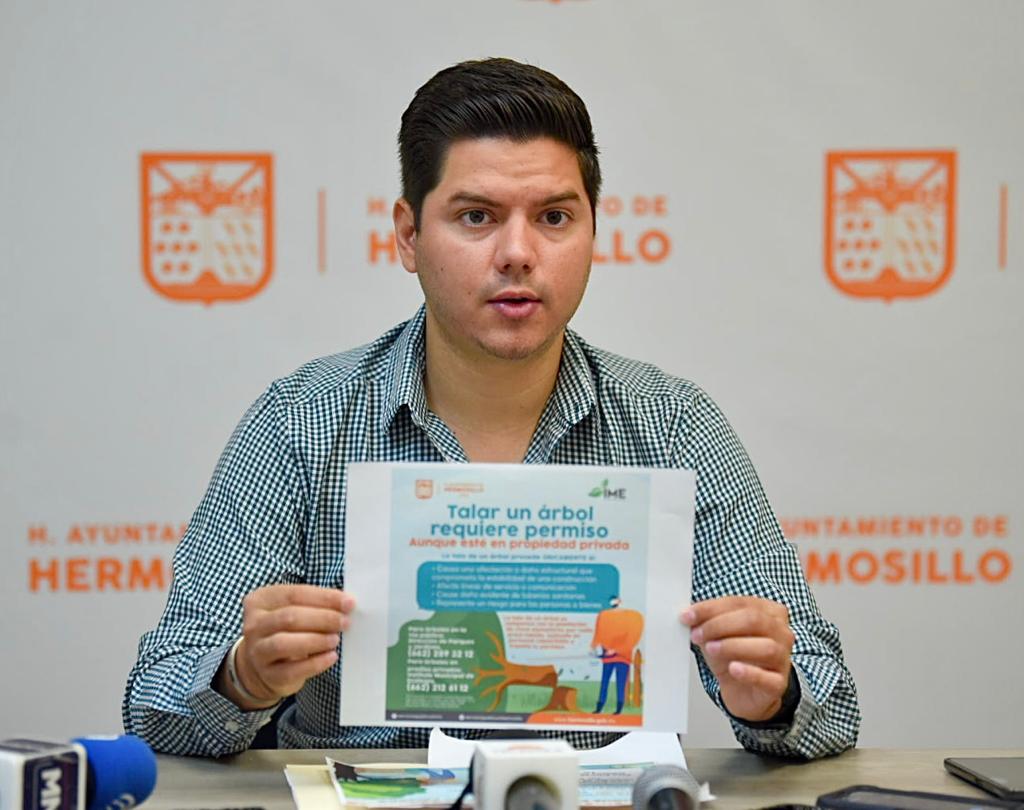 Talar y podar árboles en Hermosillo requiere un permiso, aclara el Instituto Municipal de Ecología (IME)