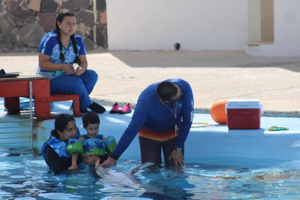 Tras dos años de ausencia, vuelven las terapias al Delfinario Sonora