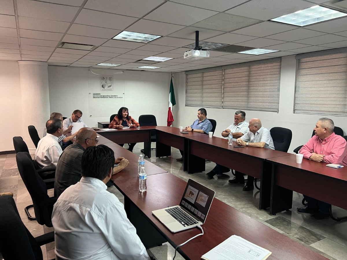 Sonora será primer lugar nacional en actividad porcícola: Secretaría de Agricultura