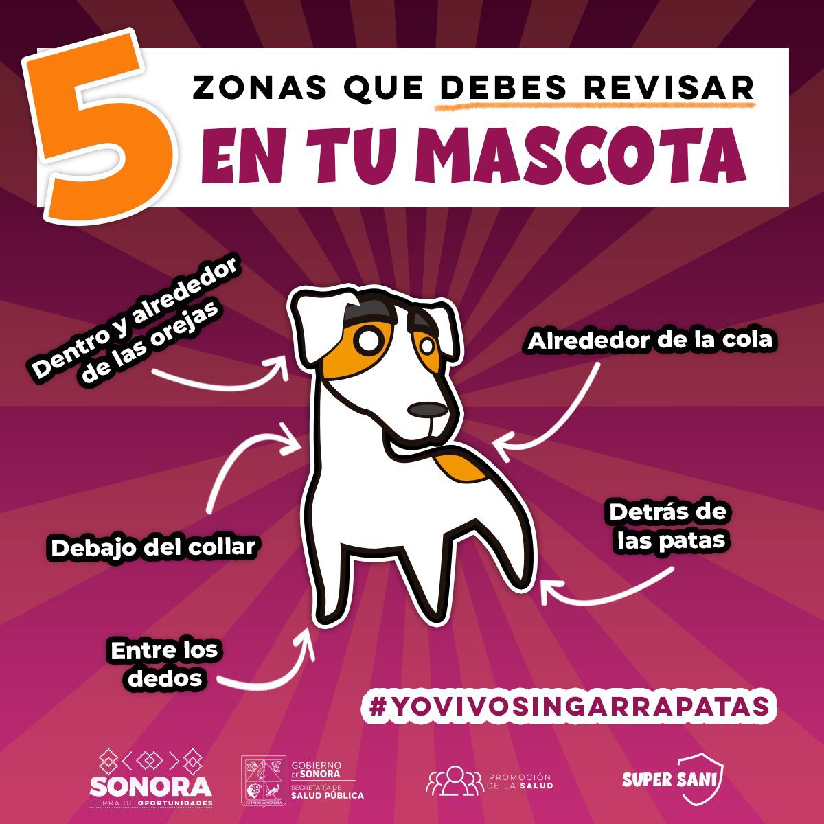 Llama Secretaría de Salud a prevenir la rickettsia