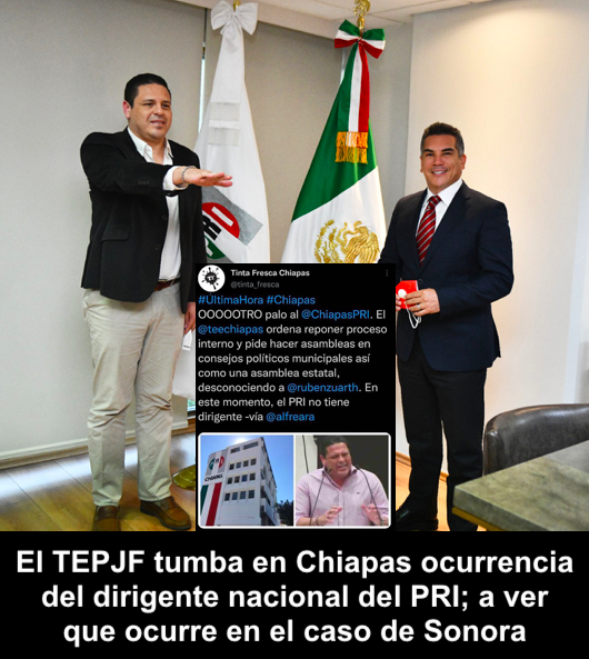 Sin futuro