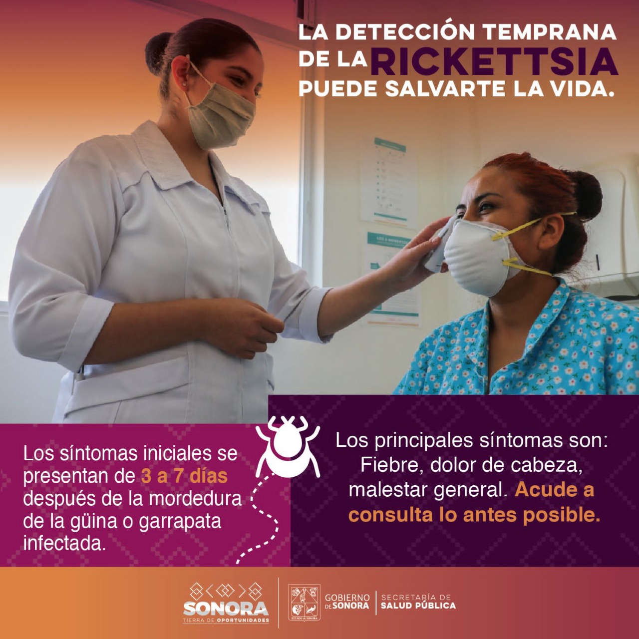 Llama Salud Sonora a detectar a tiempo los casos de rickettsia