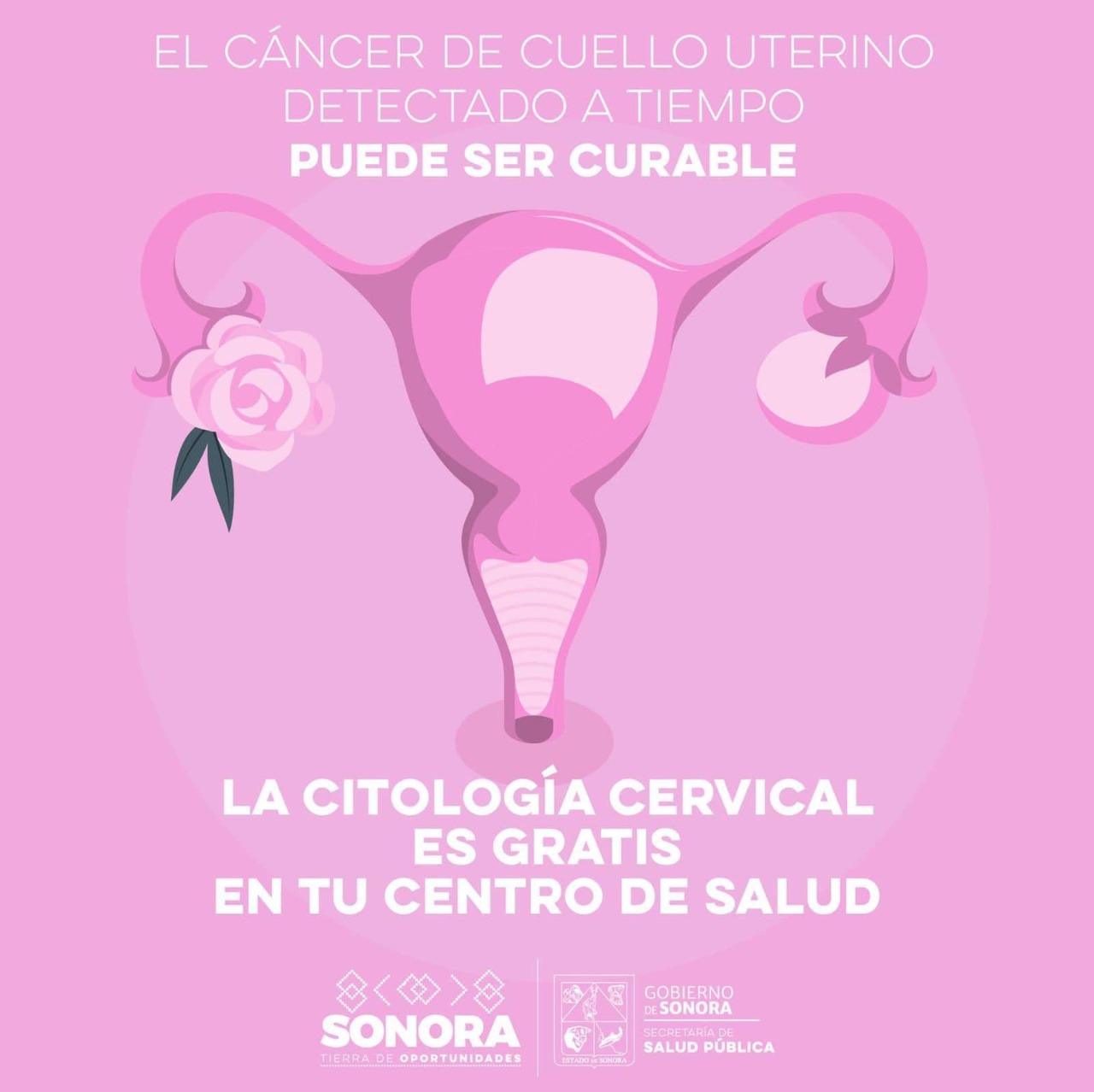 El cáncer de cuello uterino es prevenible: Salud Sonora
