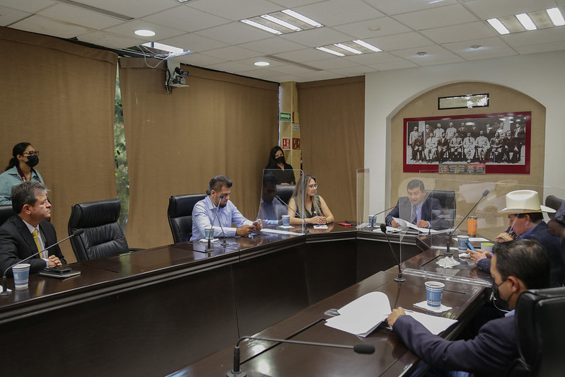 Llamarán a rendir protesta a Regidora en Ayuntamiento de Bácum 