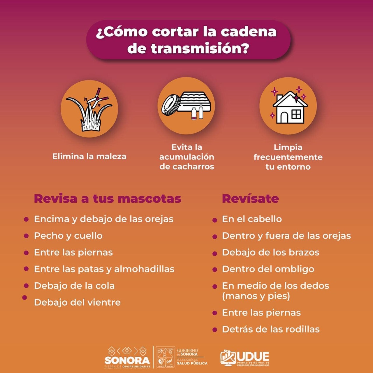 Salud Sonora llama a prevenir la enfermedad de rickettsia