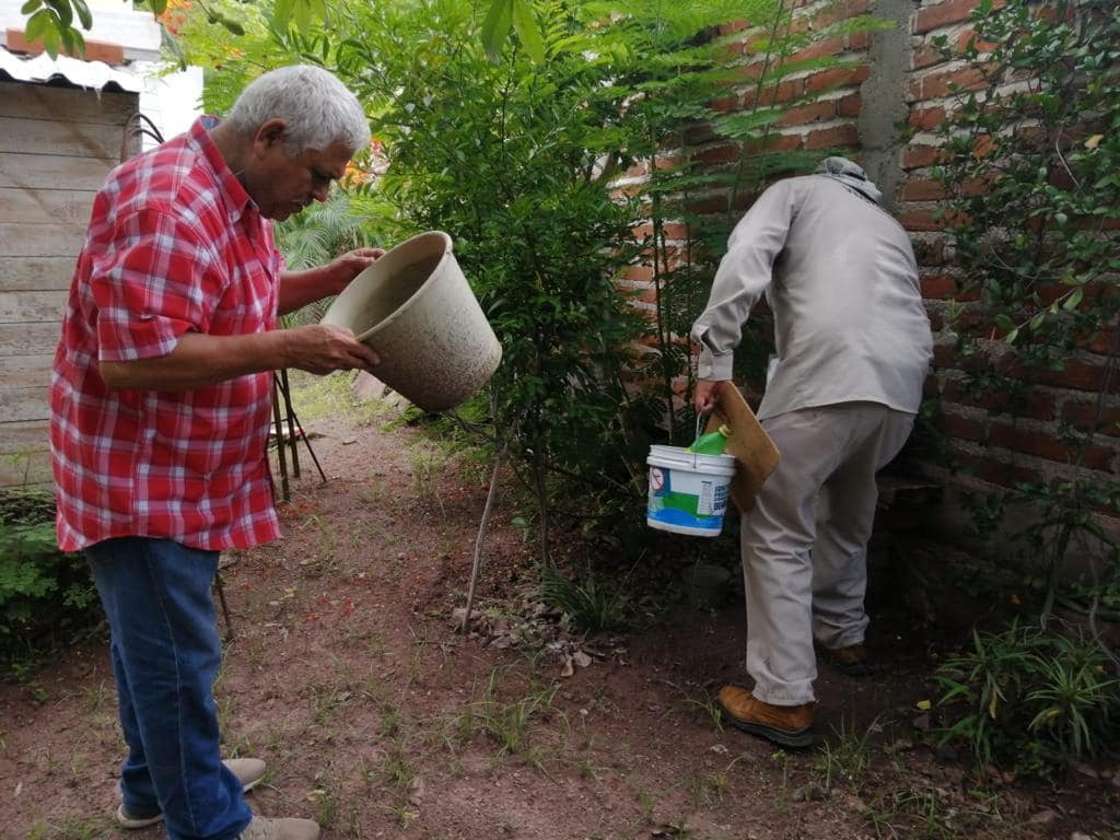 Llama Salud Sonora a prevenir el dengue con cuatro acciones