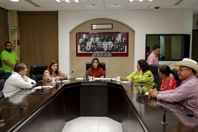 <strong>Avanza Comisión para designar Comisionado o Comisionada ejecutivo de Atención a Víctimas </strong>