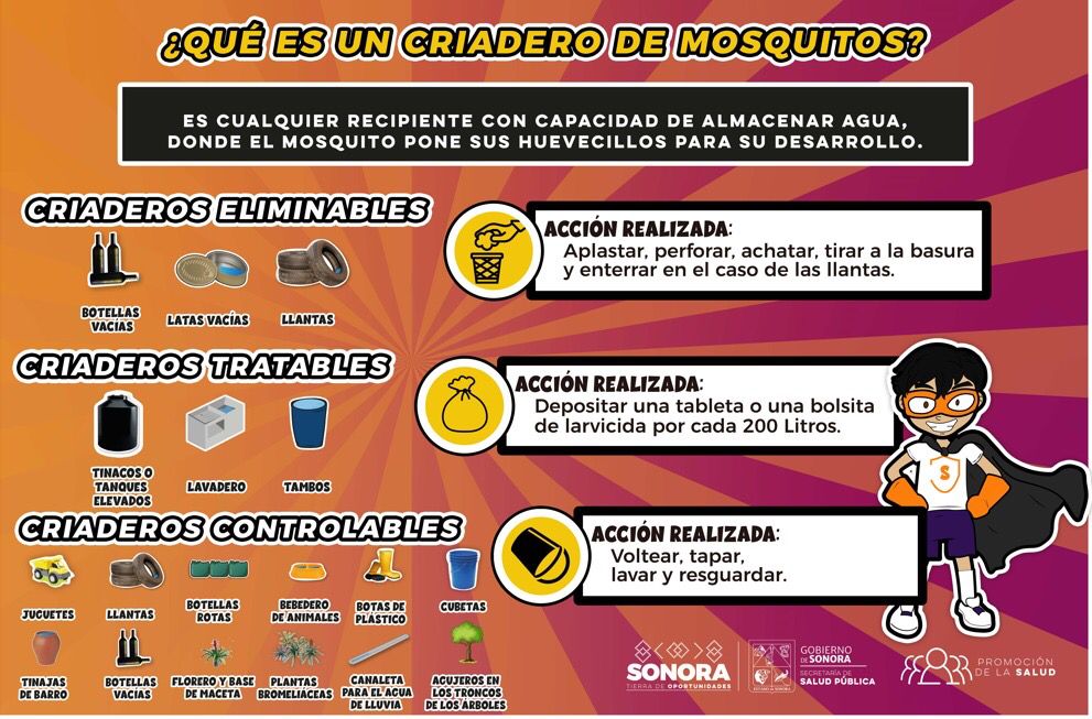 Continúa Secretaría de Salud con acciones contra el dengue en el sur de Sonora