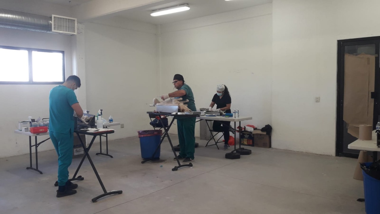 Lleva Salud Sonora Jornada de Salud y Bienestar Canina y Felina a Moctezuma
