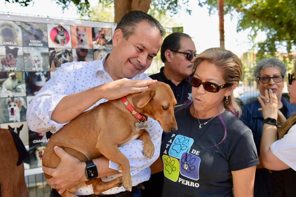 Confirma Toño Astiazarán acciones a favor de los animales